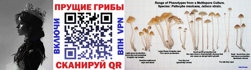 Галлюциногенные грибы мицелий Калач