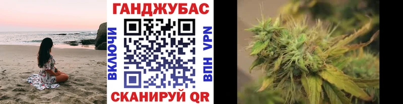 МАРИХУАНА сатива Калач